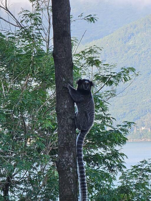 Nosso Mar Ξενοδοχείο Florianópolis Εξωτερικό φωτογραφία